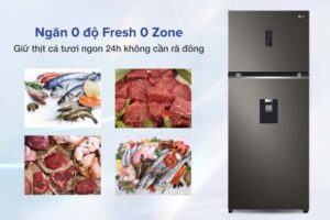 Tủ lạnh LG có ngăn đông mềm