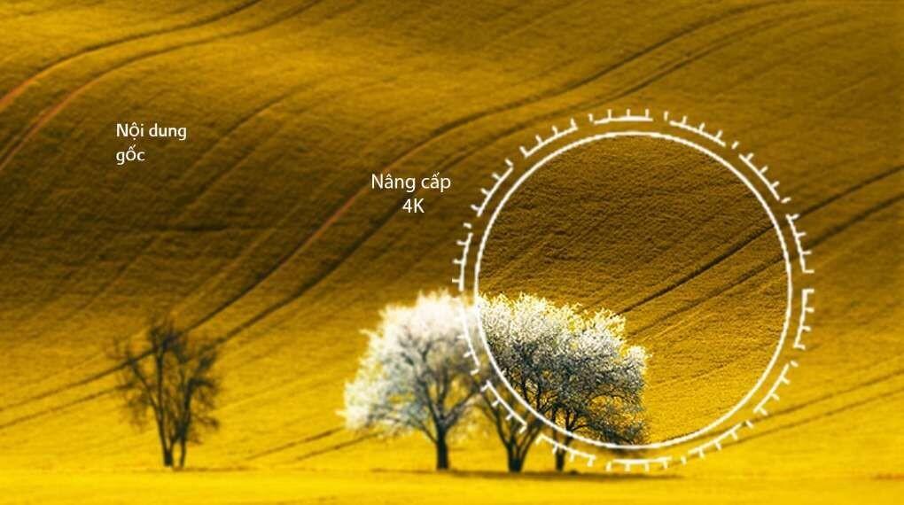 Trang bị độ phân giải 4K