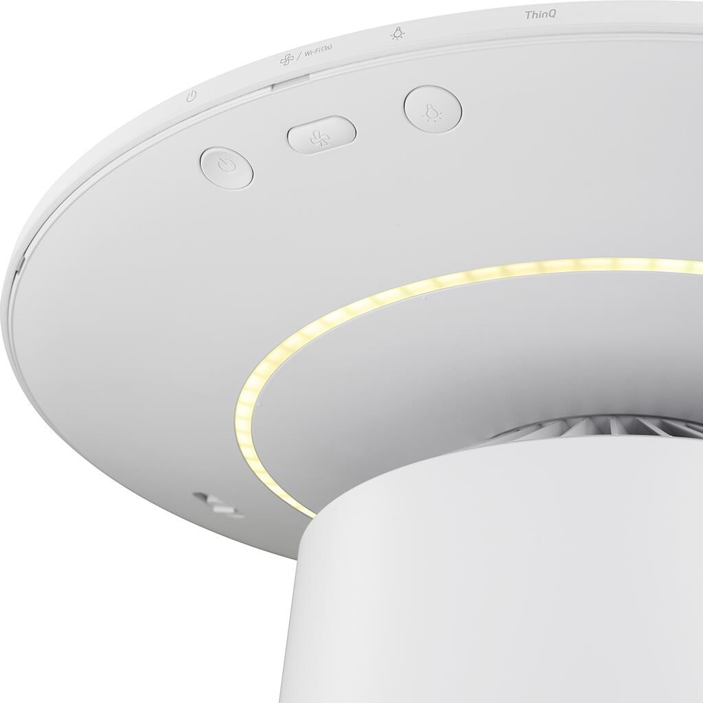 vật nhỏ như sách, báo, kính, điện thoại, cà phê..