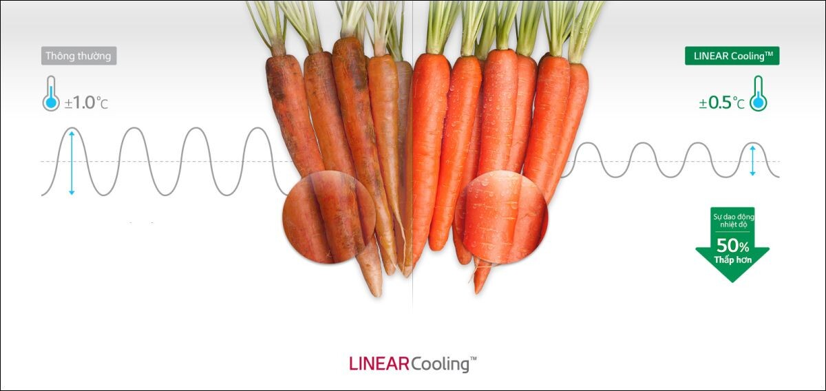 Linear Cooling sẽ giúp tủ duy trì và kiểm soát được nhiệt độ chặt chẽ hơn