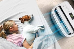 Điều hòa không cục nóng