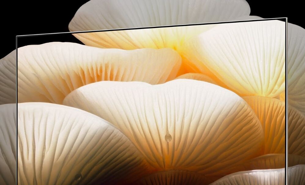 Thiết bị có khả năng tự phát sáng cao và rõ ràng, đó là nhờ công nghệ OLED evo