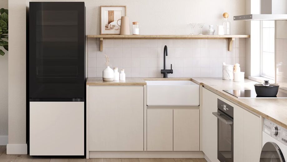 Giới thiệu chung về tủ lạnh LG LBB33BGMAI 335 lít inverter