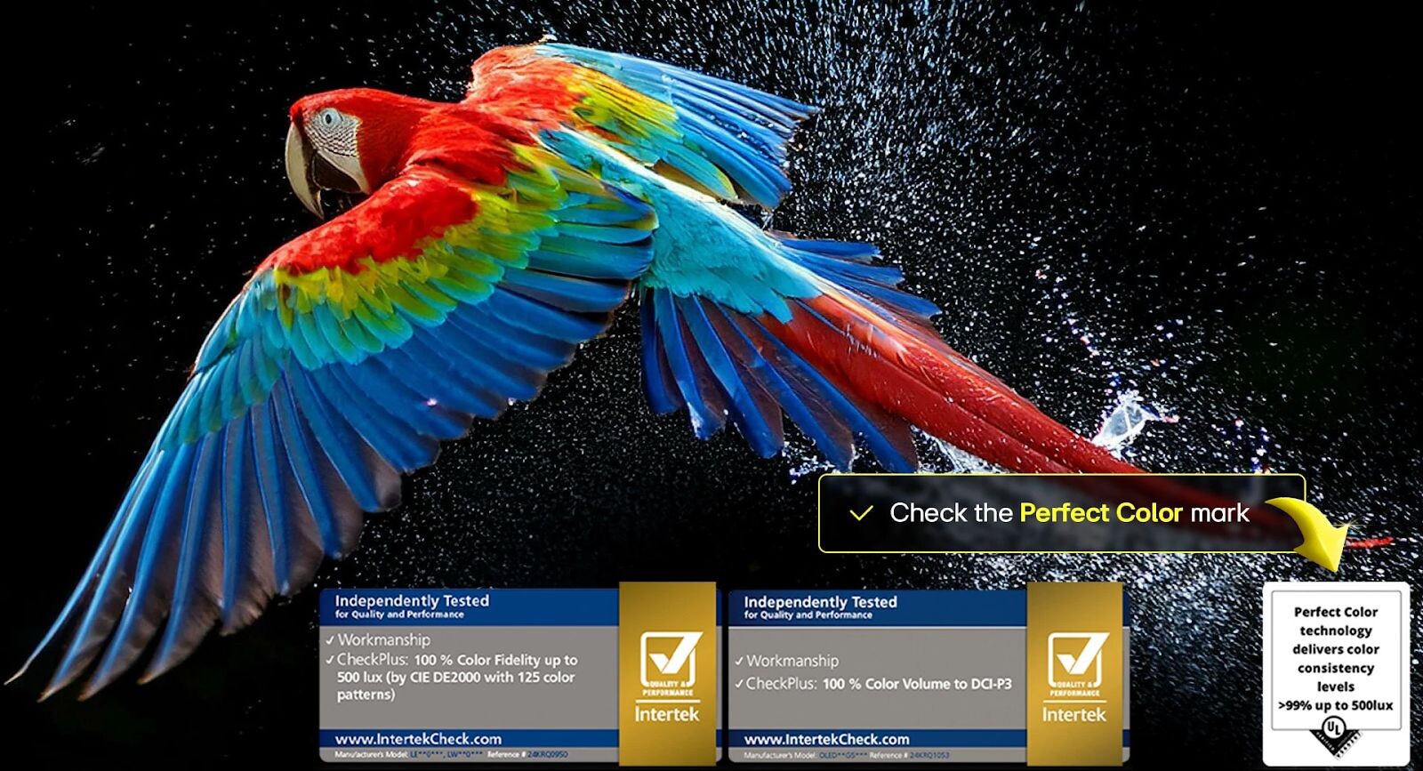 Tận hưởng màu sắc trên màn hình cực kỳ rực rỡ và chuẩn ngay cả trong môi trường có ánh nắng hoặc tối